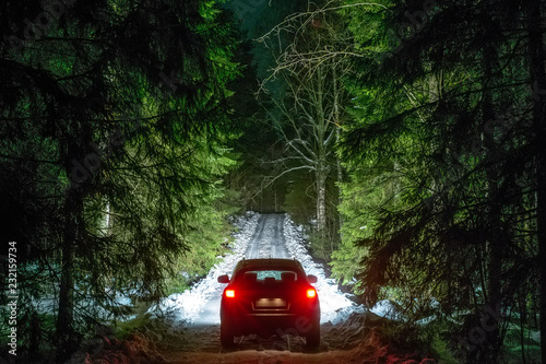 Winter Driving - Lights of car and winter road in dark night forest, big pine trees covered snow