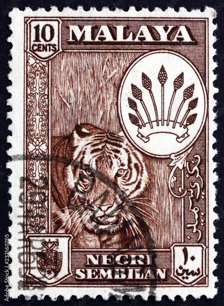 Fototapeta premium Znaczek pocztowy Malaya 1957 Tiger, Panthera Tigris, Animal