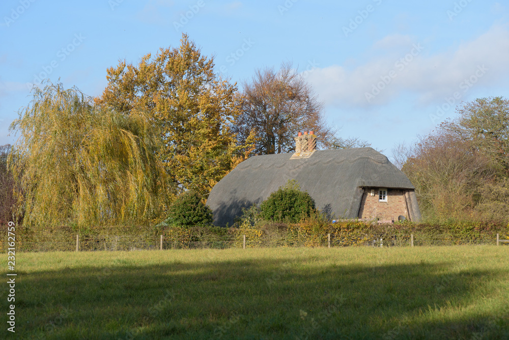 Old thatched cottage in Thurston countryside viewed from public footpath