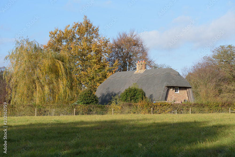 Fototapeta premium Old thatched cottage in Thurston countryside viewed from public footpath
