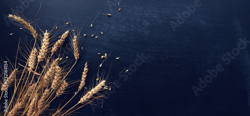 Obraz na płótnie Ears of wheat and grains
