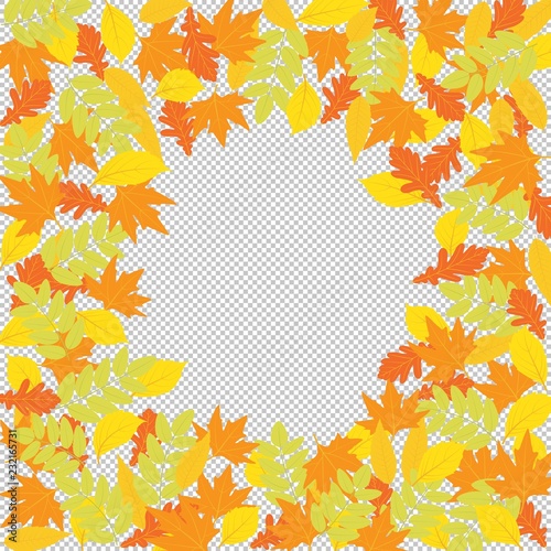 Frame autumn yellowed leaves. Design, decoration, free space for your text or logo. Vector