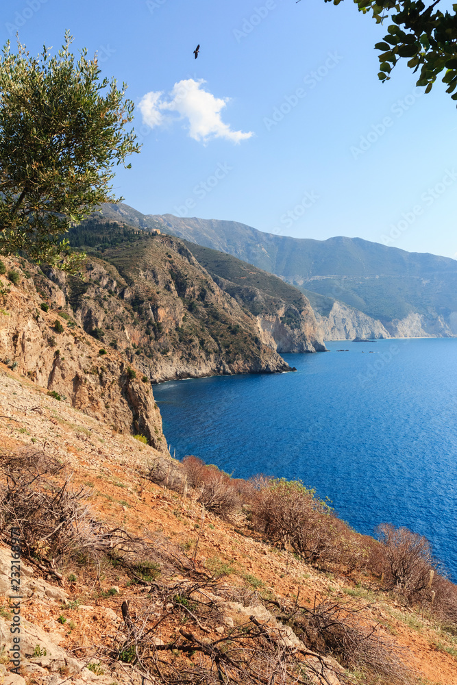Beautiful rocky coast on sunny day with olive trees. Ionian sea, Kefalonia, Greece