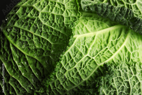 Fresh green savoy cabbage as background, closeup