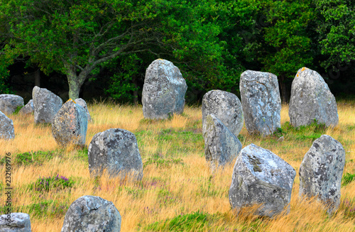 France, Brittany, Morbihan, Carnac, megalithic menhir alignments of Menec photo