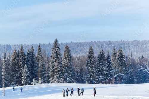 Several children ski in the winter forest.