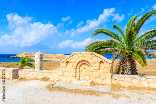 Palm tree and stone wall in rural landscape of Karpathos island in Lefkos village, Greece