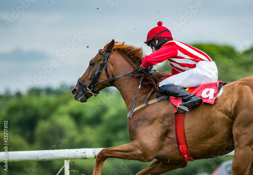 Close-up on single race horse and jockey racing