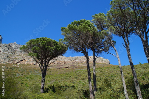 Tafelberg