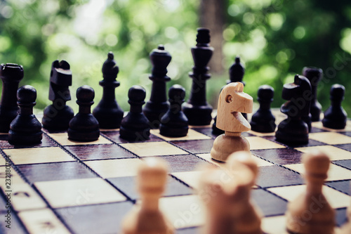 Horse chess figure on a playing board