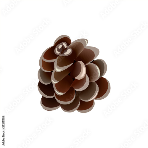 Pine cone on white background Christmas decoration. vector