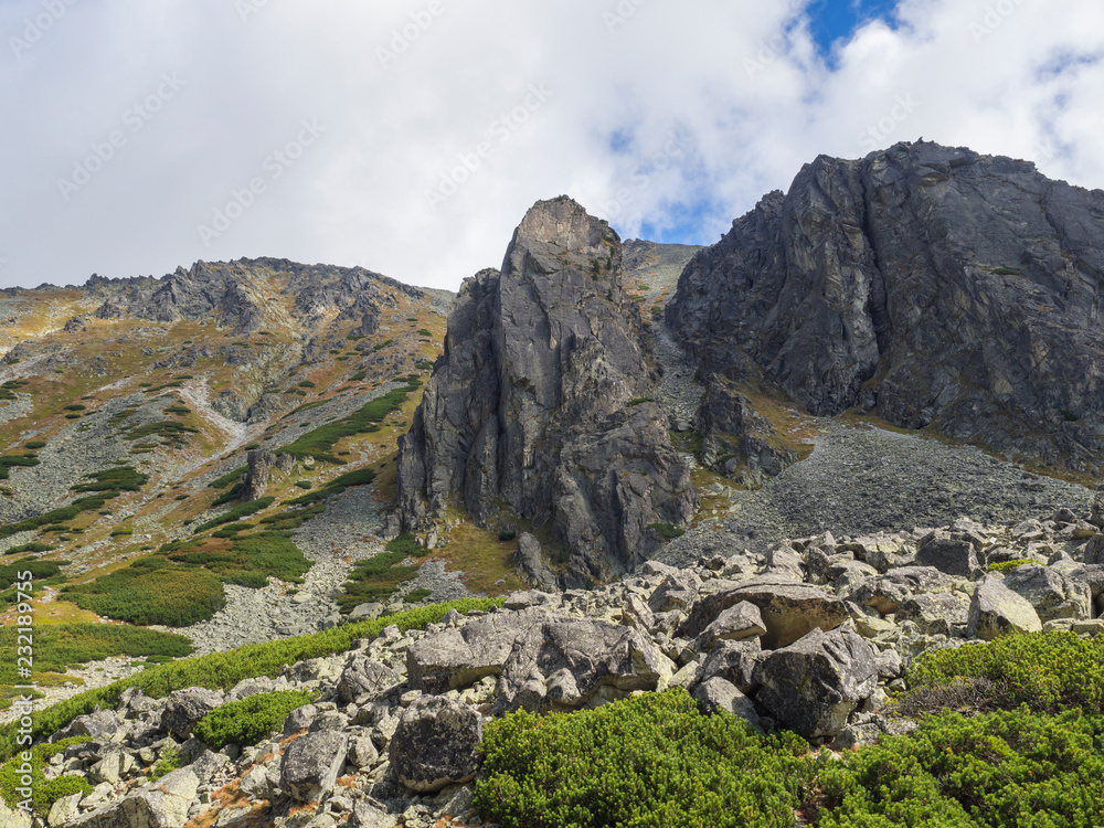Beautiful sharp mountain peaks with pine trees, High Tatras mountain, Slovakia, late summer sunny day, blue sky background Beautiful sharp mountain peaks with pine trees, High Tatras mountain, Slovakia, late summer sunny day, blue sky background