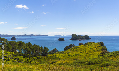 Landscape Scenery of Cathedral Cove Beach, Coromandel Peninsula - New Zealand