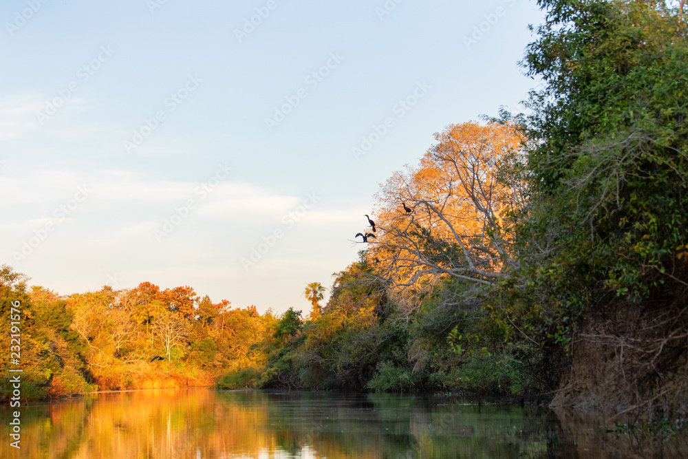 sunset over the river flowing in the forest. sunset over the river flowing in the forest.