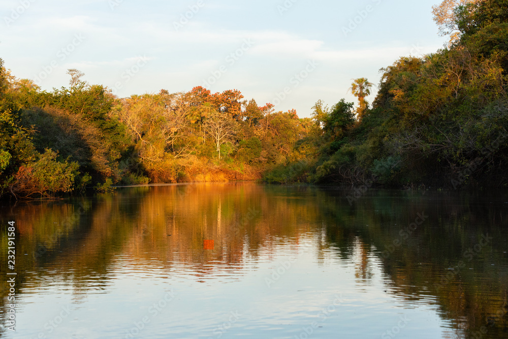 sunset over the river flowing in the forest. sunset over the river flowing in the forest.