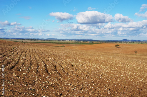 plowed field, Alentejo region, Portugal