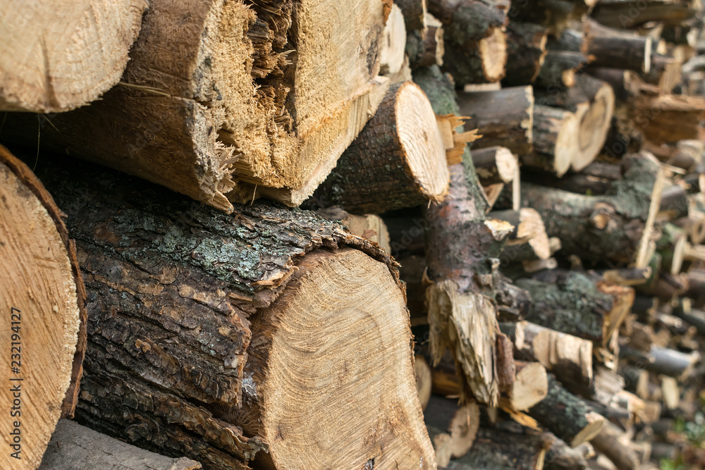 Stocking up of firewood. Pile of round wood logs ready for winter , Stack of firewood. Spruce wood background Stocking up of firewood. Pile of round wood logs ready for winter , Stack of firewood. Spruce wood background