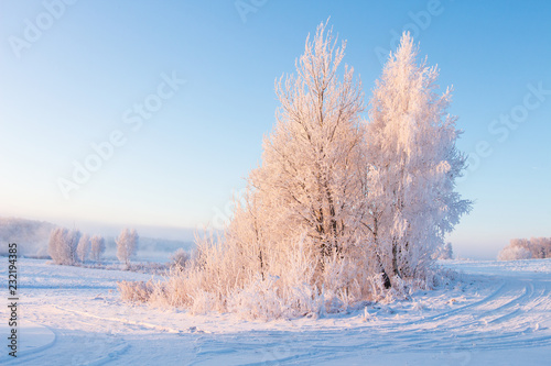 Amazing winter morning landscape in frosty tree © dzmitrock87