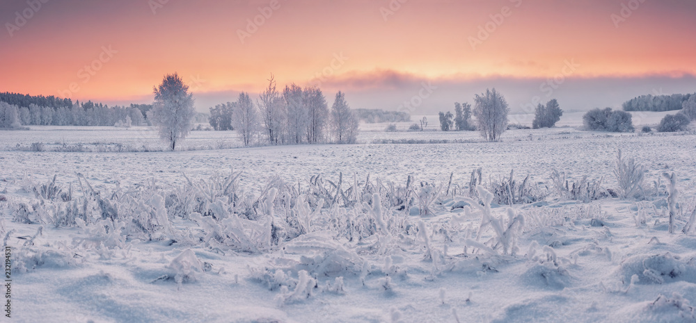 Panoramic winter nature landscape at dawn