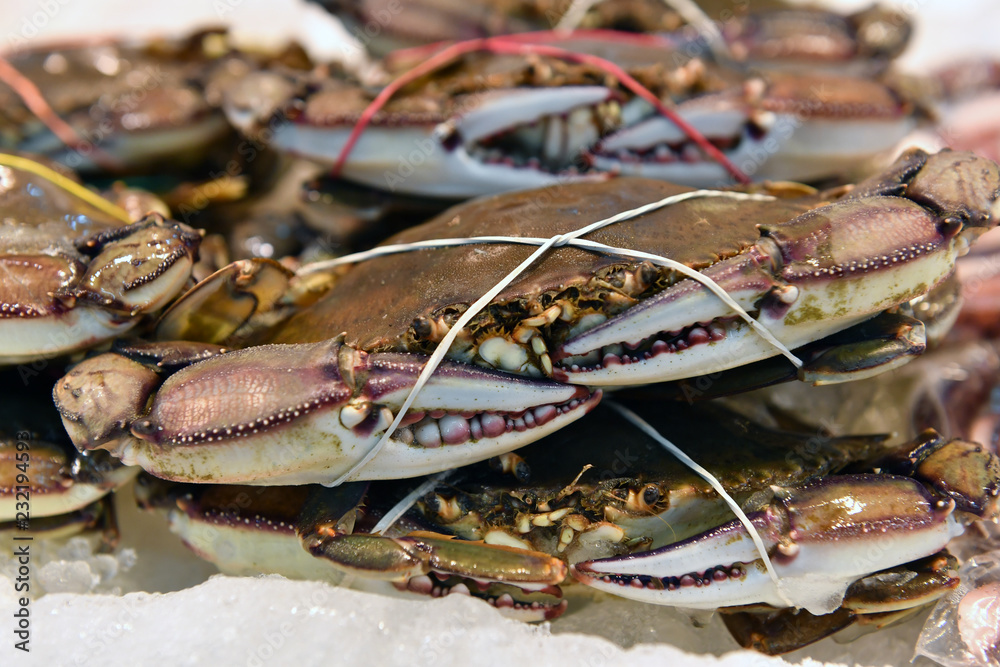 An alive crab on a market in Mazatlan-Mexico. An alive crab on a market in Mazatlan-Mexico.