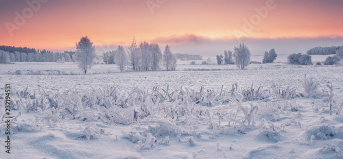 Panoramic winter nature landscape at dawn