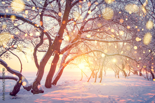 Christmas holiday background. Winter nature landscape in shining bokeh.