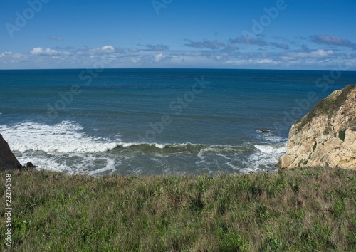 Pacific Ocean coast line and rocky beach with waves and surf