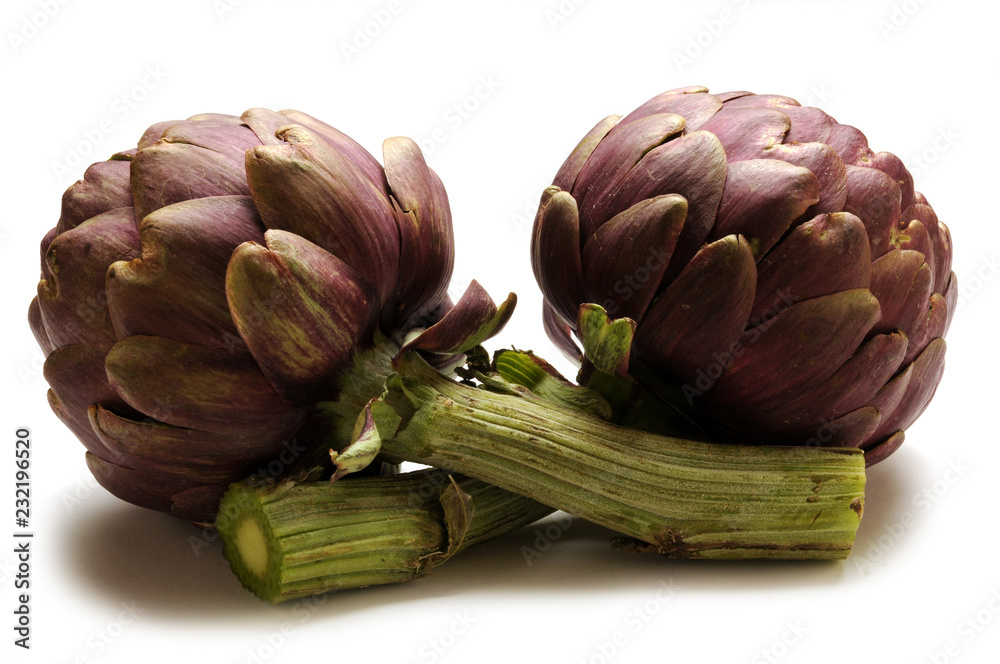 Obraz premium Cynara scolymus Carciofo romanesco アーティチョーク ft81028558 Artichoke ארטישוק