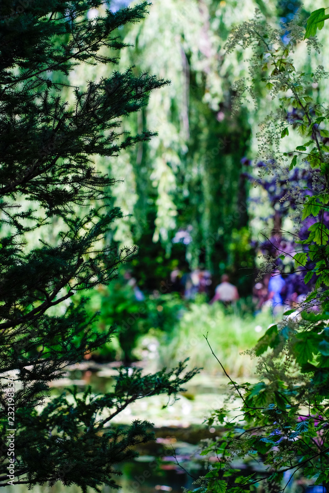 Obraz premium Beautiful Garden of Giverny of Monet