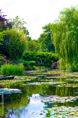 Sea rose lake in Giverny Garden of Monet