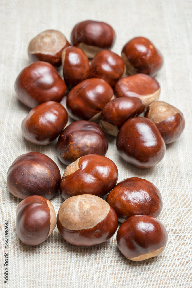 Pile of aesculus hippocastanum or conker tree nuts on tablecloth. Top view Pile of aesculus hippocastanum or conker tree nuts on tablecloth. Top view