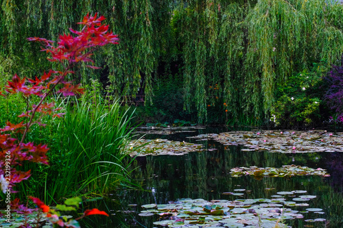 Sea rose lake in Giverny Garden of Monet