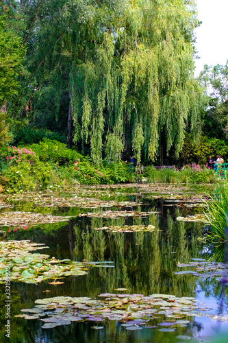 Sea rose lake in Giverny Garden of Monet
