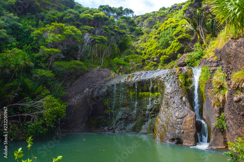 Peaceful Place and Calm Water at Waimanu Waterfalls Bethells Beach Auckland New Zealand