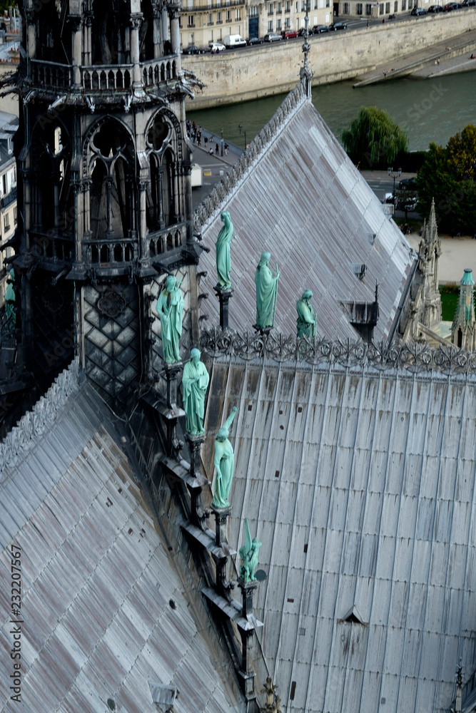 Rooftop of Notre Dame in Paris