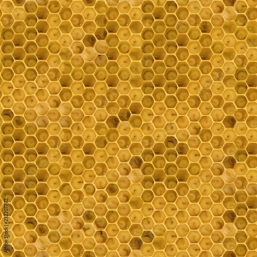 Top view of yellow honeycomb. Seamless honeycomb texture. photo