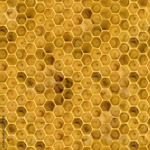 Top view of yellow honeycomb. Seamless honeycomb texture. photo