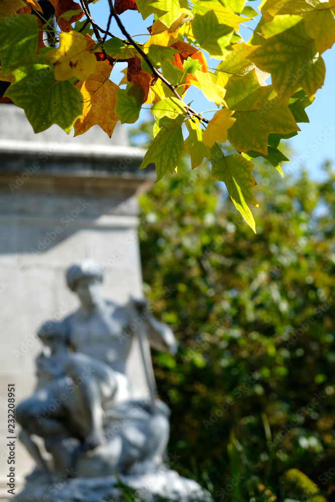 Obraz premium Autumn Leafs in Paris