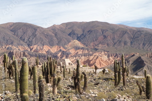 desert argentina south america