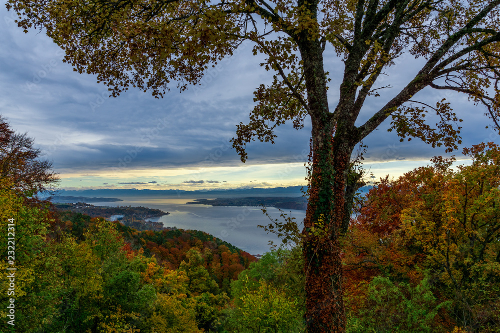 Traumhafter Panorama Blick über den Bodensee im Herbst vom Haldenhof