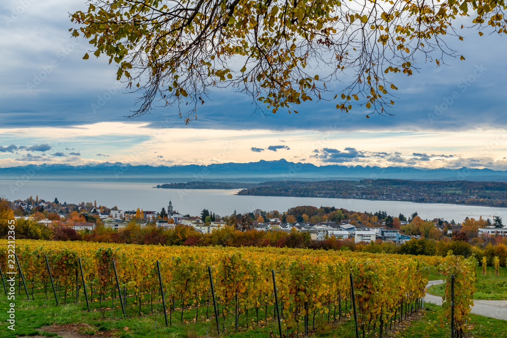 Fototapeta premium Herbst Landschaft Bodensee Panorama Blick 