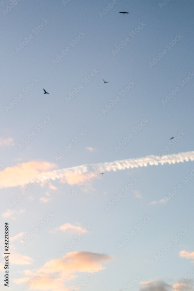 Sky with Clouds during Sunset