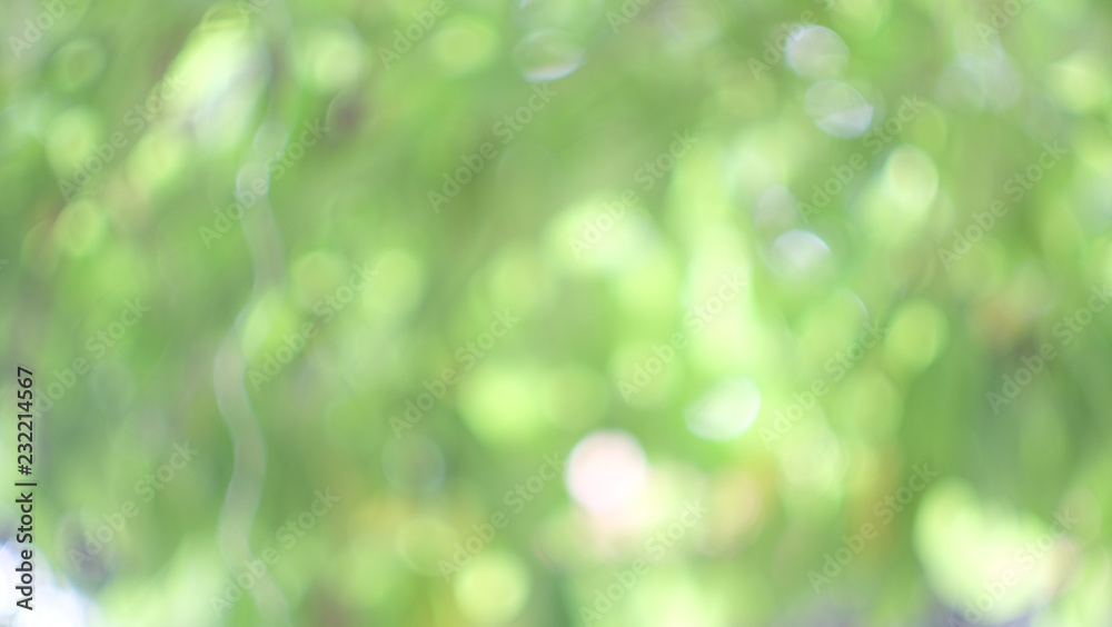 Abstract green and white light blur colorful texture bokeh , green leaves refreshing bakgroun