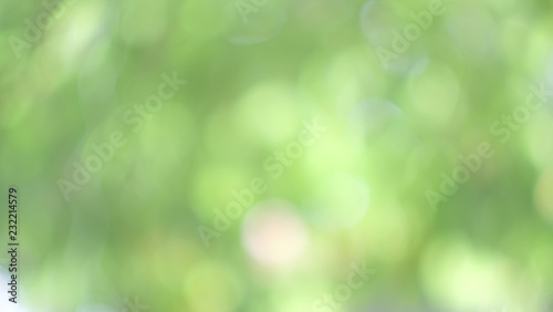 Abstract green and white light blur colorful texture bokeh , green leaves refreshing bakgroun
