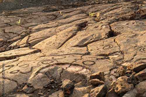 Petroglyphs carved into volcanic rock, on the King's Trail ("Mamalahoa"), near Kona on the Big Island of Hawaii. Earliest carvings in the area are more than a century old. 