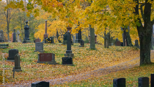 old cemetery in autumn rain, misty, alone, isolated, no people, sad, peaceful.