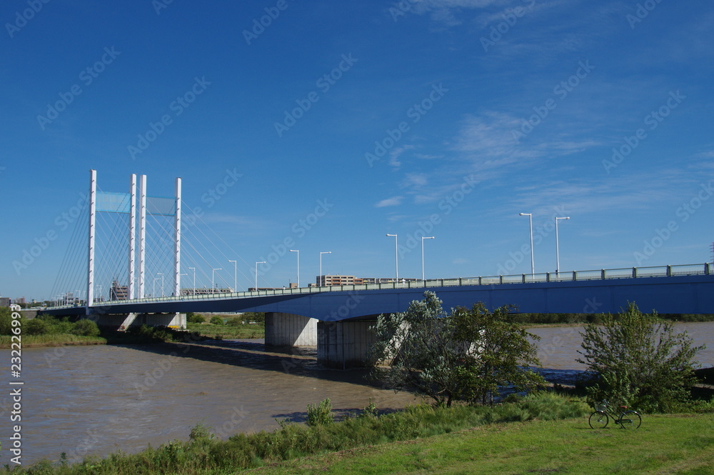 増水した多摩川と是政橋