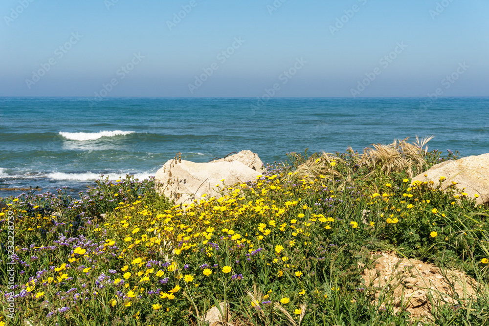View of the shores of the Mediterranean sea with purple and yellow flowers on the foreground.
