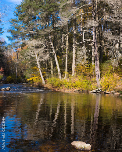Fall foliage reflected in river in rural New England with vivid yellows and green colours 