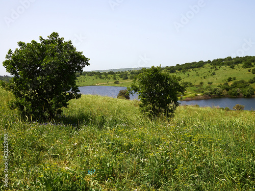 Typical country side rural landscape in Israel